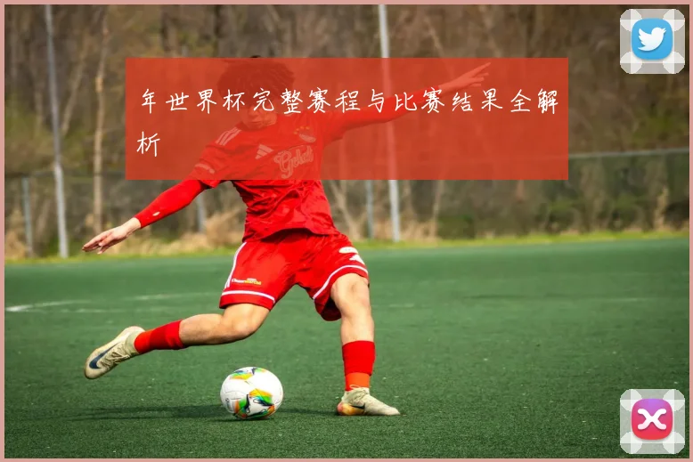 年世界杯完整赛程与比赛结果全解析
