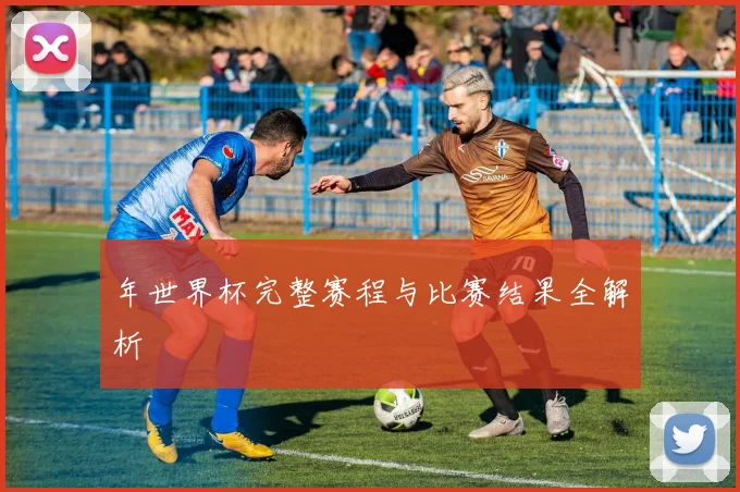 年世界杯完整赛程与比赛结果全解析